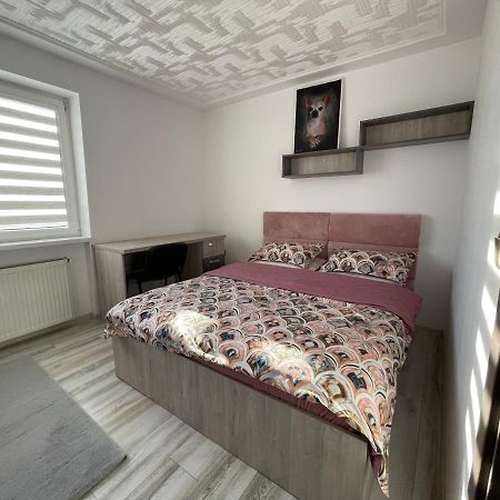 Tei Apartment - Lucian Blaga Satu Mare Exteriör bild