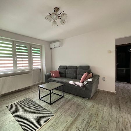 Tei Apartment - Lucian Blaga Satu Mare Exteriör bild