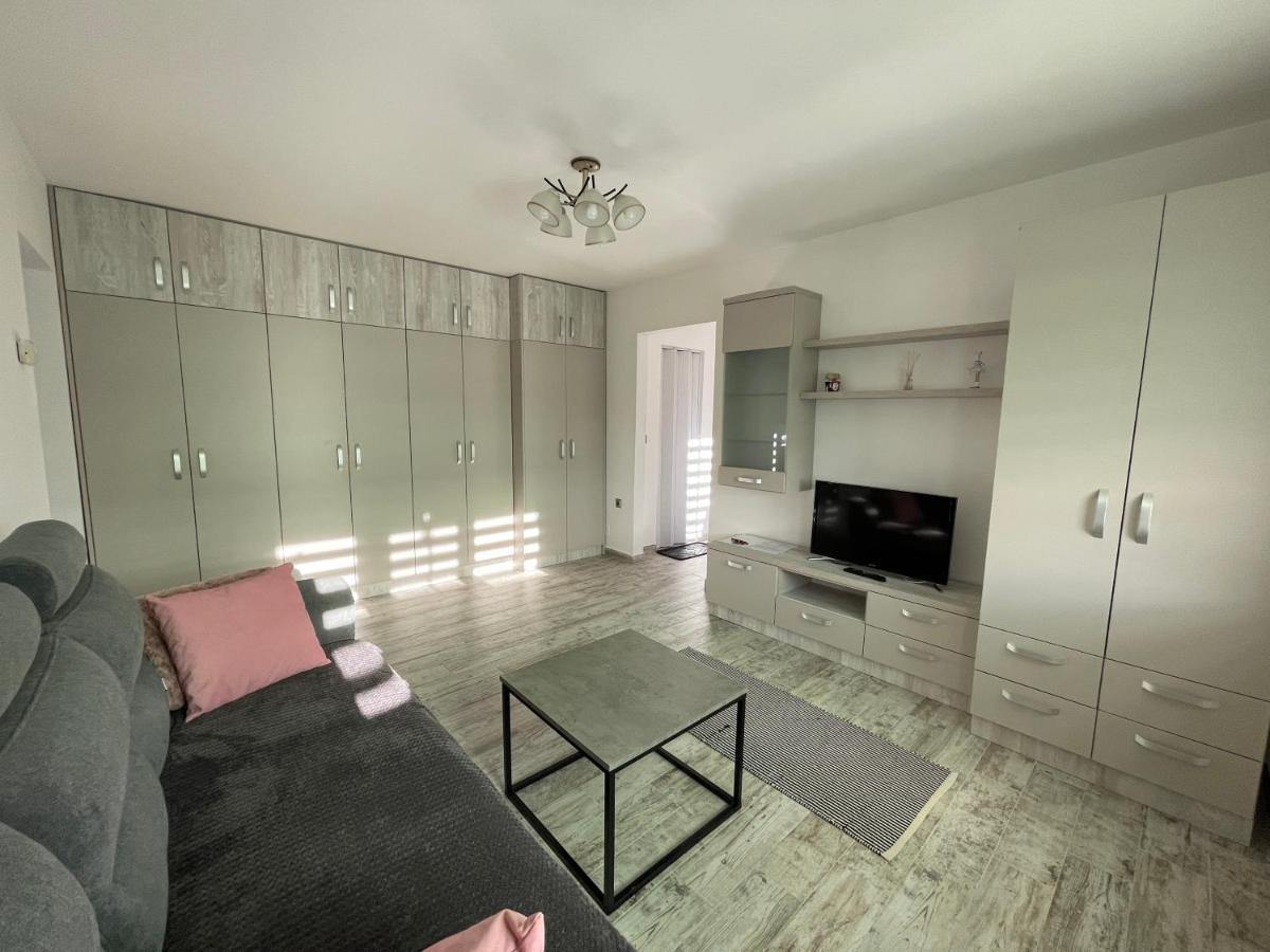 Tei Apartment - Lucian Blaga Satu Mare Exteriör bild