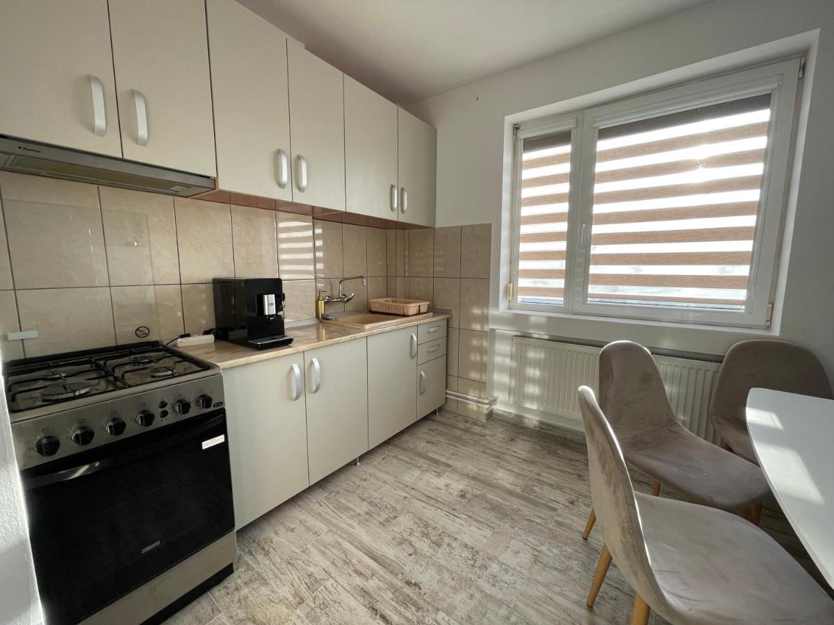 Tei Apartment - Lucian Blaga Satu Mare Exteriör bild
