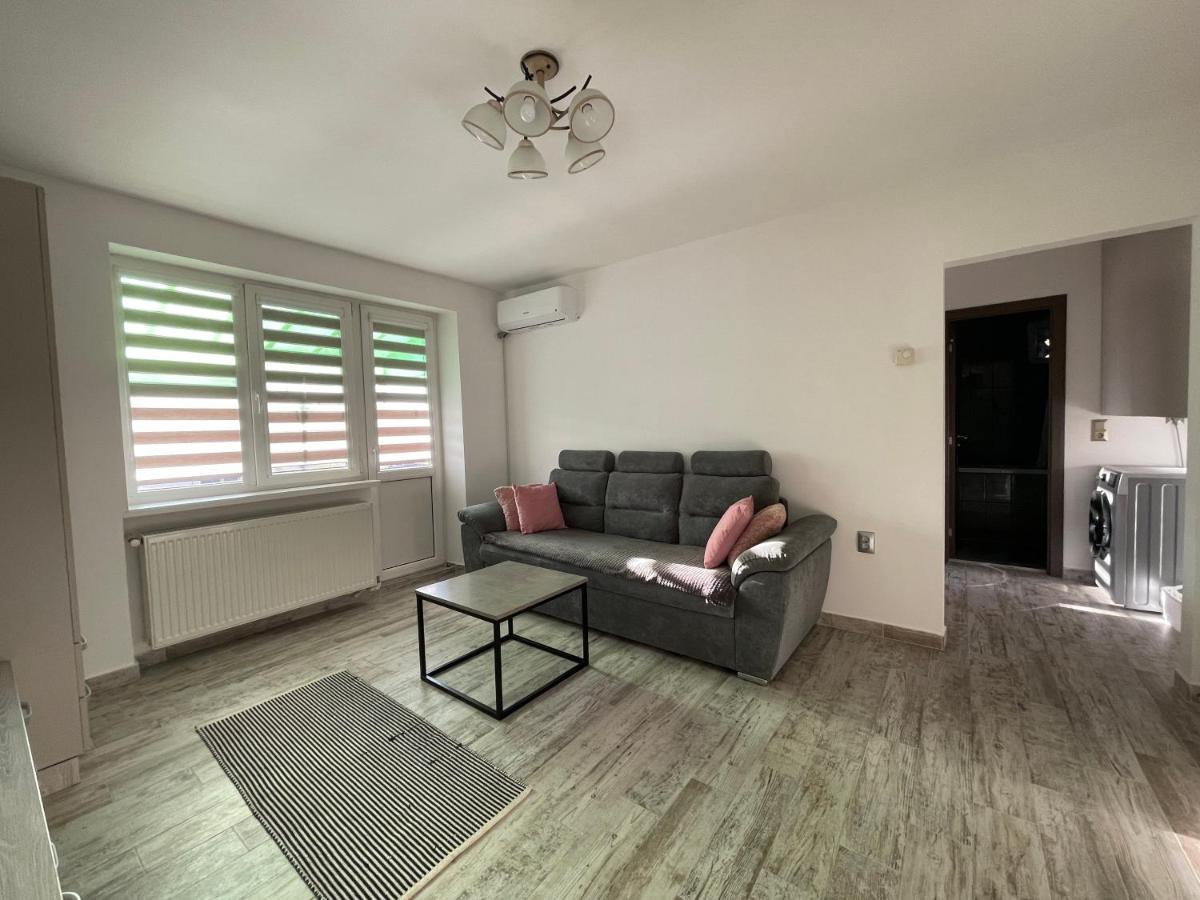 Tei Apartment - Lucian Blaga Satu Mare Exteriör bild